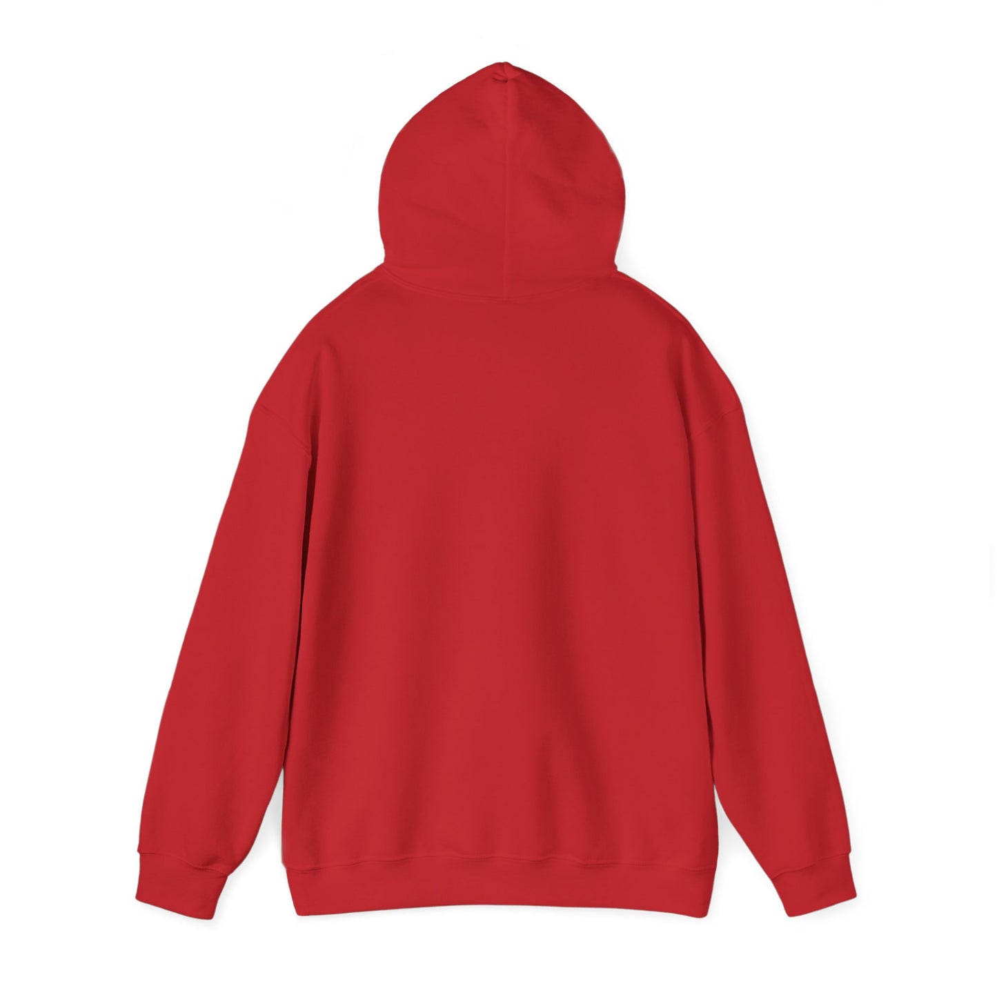 Waving Afghan Flag Hoodie