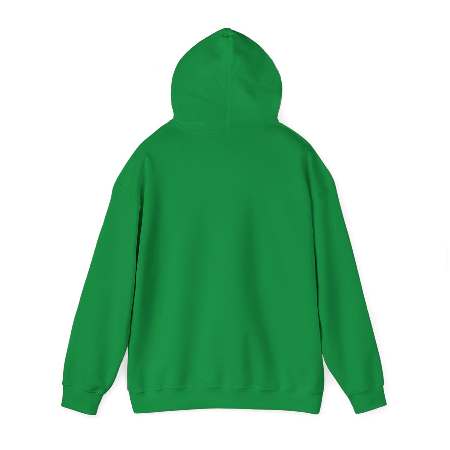 Waving Afghan Flag Hoodie